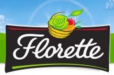 Industriel en conditionnement de salades et fruits frais Isle sur la sorgue Florette