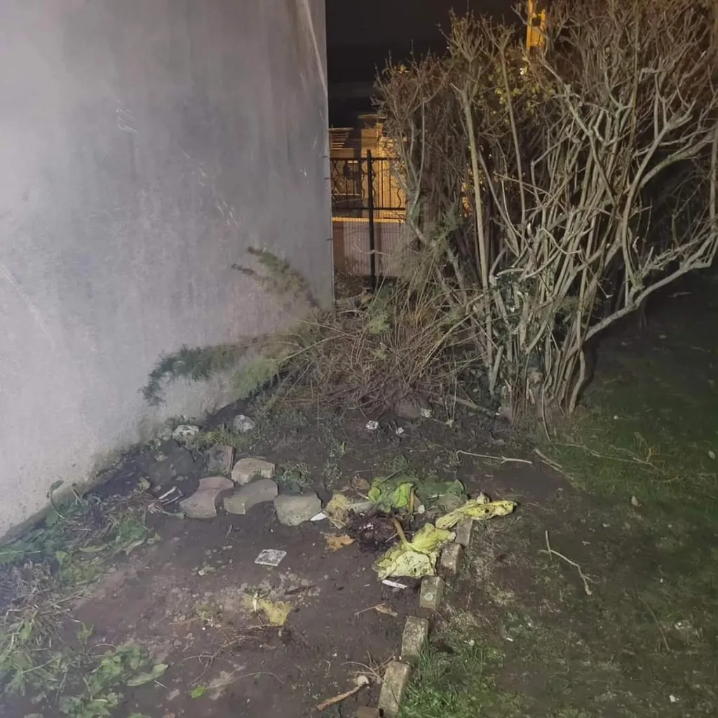 Démontage d'une cabane de jardin