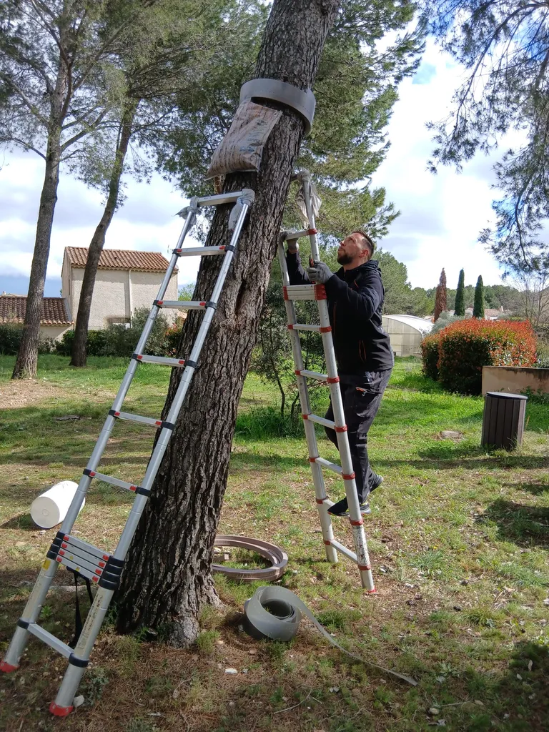 pose d'écopiège à cassis carnoux