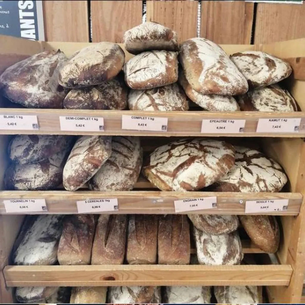 pain Bio au levain naturel,cuit au feu de bois,à la farine de petit épeautre, de khorazan, de seigle ou de blé, avec des céréales ou des graines près de Beaujeu (69)