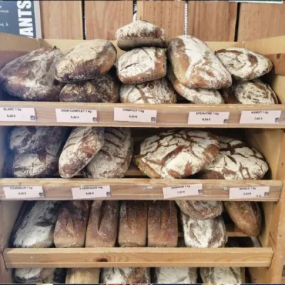 pain Bio au levain naturel,cuit au feu de bois,à la farine de petit épeautre, de khorazan, de seigle ou de blé, avec des céréales ou des graines près de Beaujeu (69)
