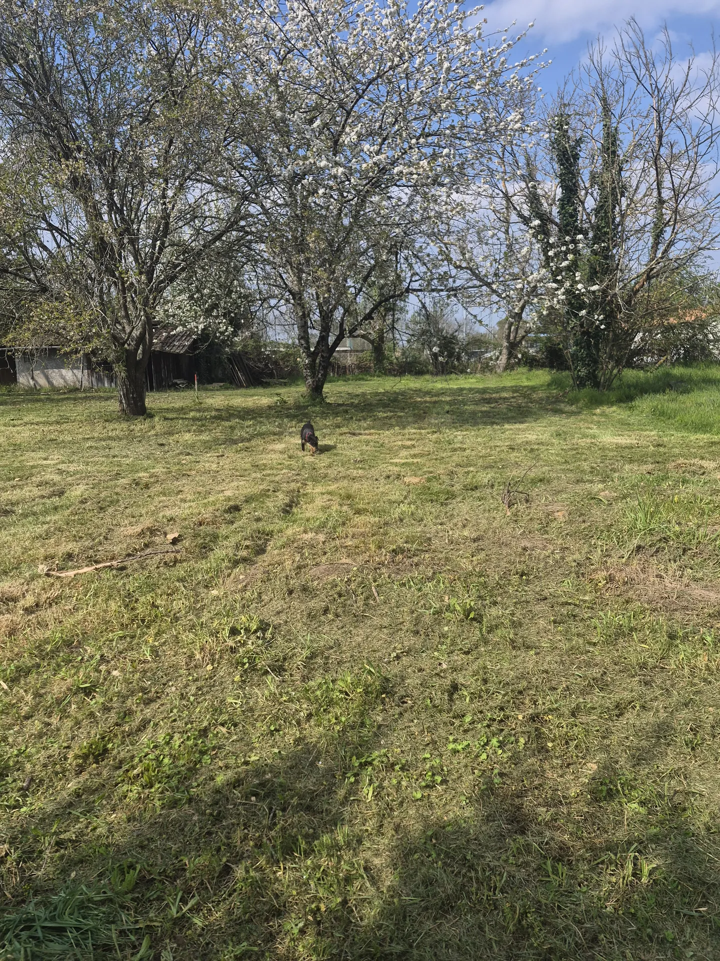 Terrain sur le secteur de Saint Médard de Guizières