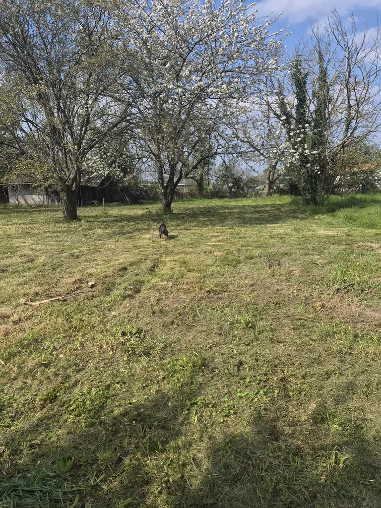 Terrain sur le secteur de Saint Médard de Guizières