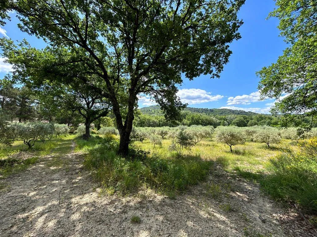 Mormoiron - Domaine viticole, oléicole, 3 gites avec piscine au pied du Mont-Ventoux.
