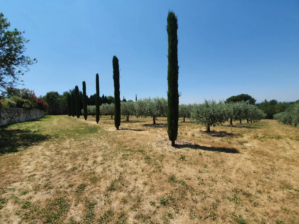 maison avec vue panoramique sur les hauteurs de Pernes-Les-Fontaines   