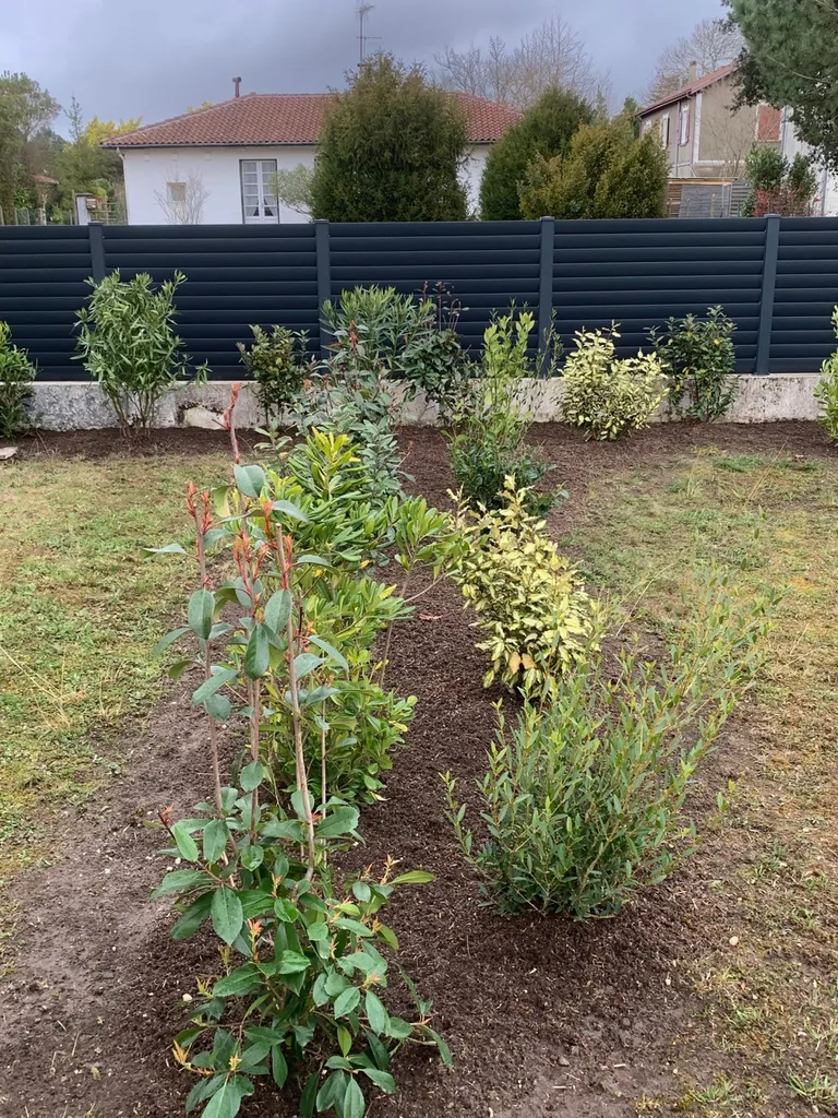 Choisir un bon paysagiste pour la plantation de haie libre à Mimizan