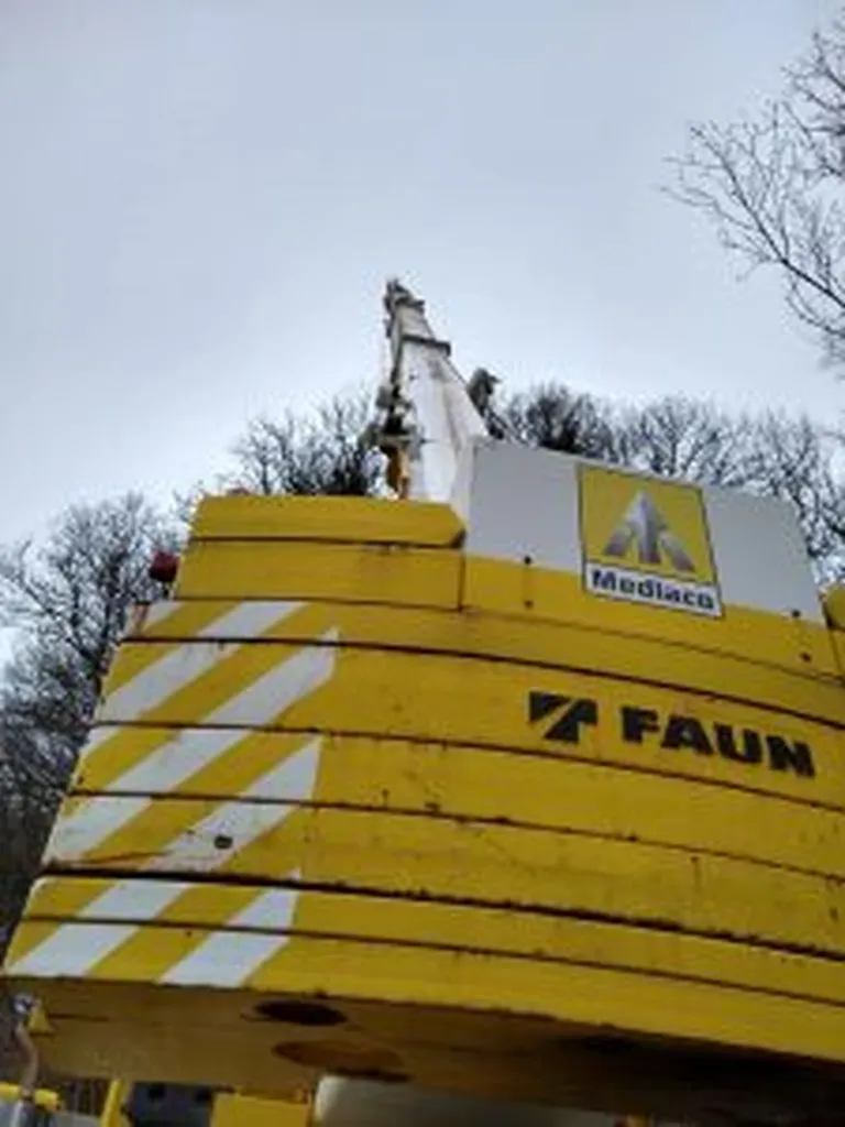 Abattage d’arbres avec grue 60 tonnes à Ganzeville (76400)