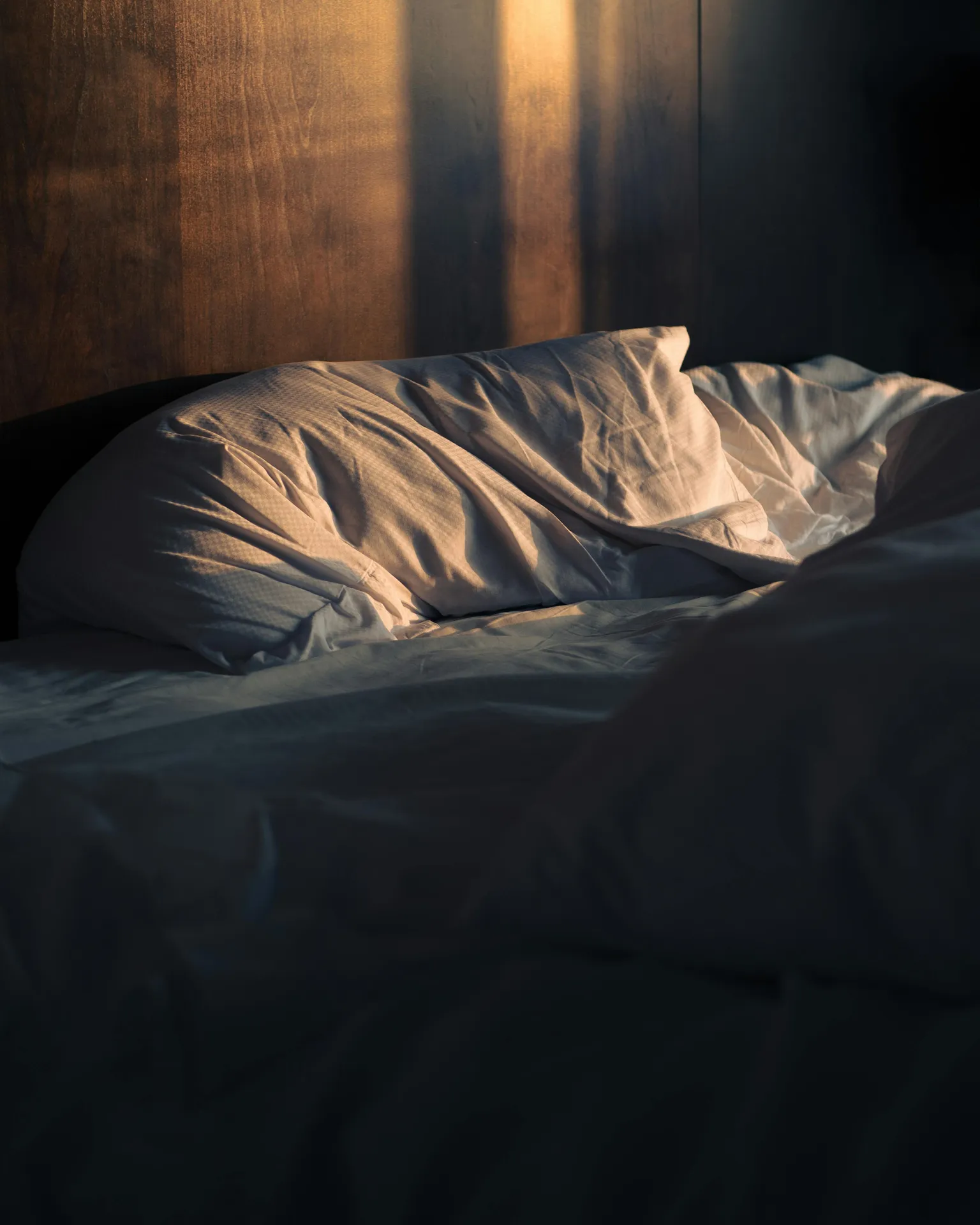 ???? Le cauchemar de vos nuits a un nom... Vous vous réveillez avec des piqûres alignées et des démangeaisons ? Ne culpabilisez pas, les punaises de lit touchent tous les milieux et n'ont rien à voir avec l'hygiène ! Surtout, évitez les bombes aérosols du