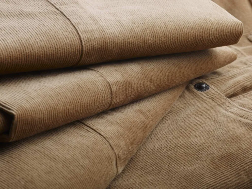 photographe zoom textile velours milleraies beige