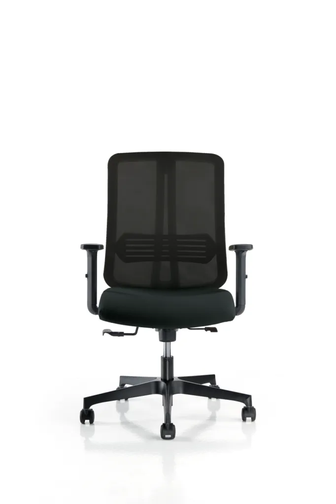Fauteuil de bureau ergonomique Elyson
