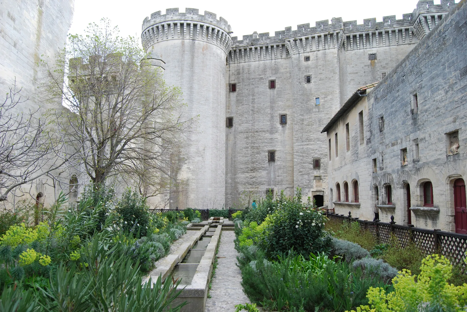 Avocat Droit pénal Tarascon