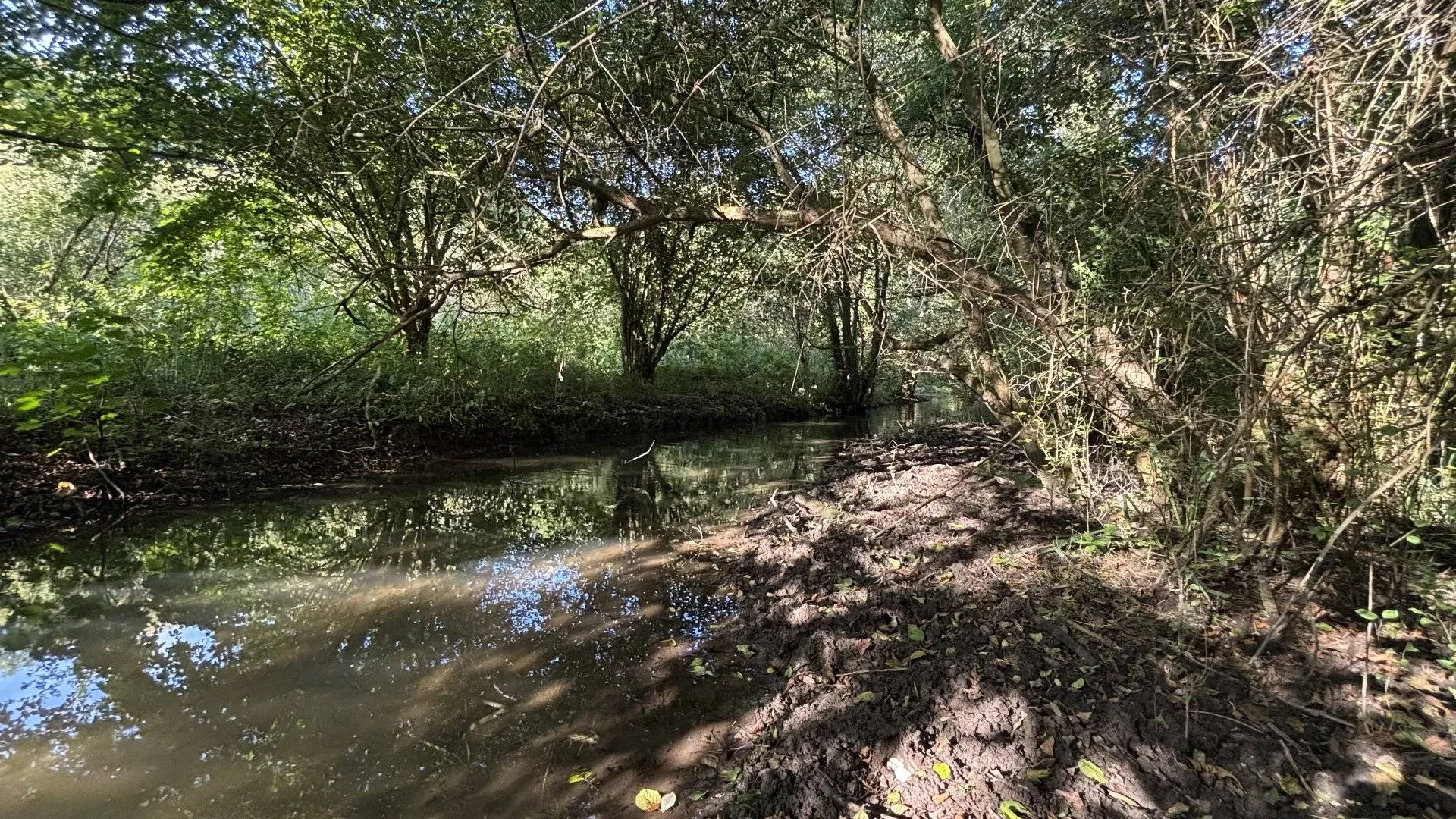 Achat terrain proche gare Normandie 76