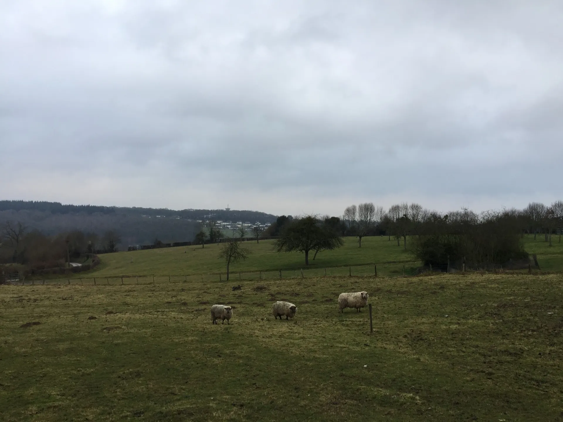 Vend Maison avec un hectare dans le calvados