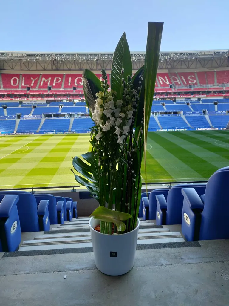 Événements sportifs