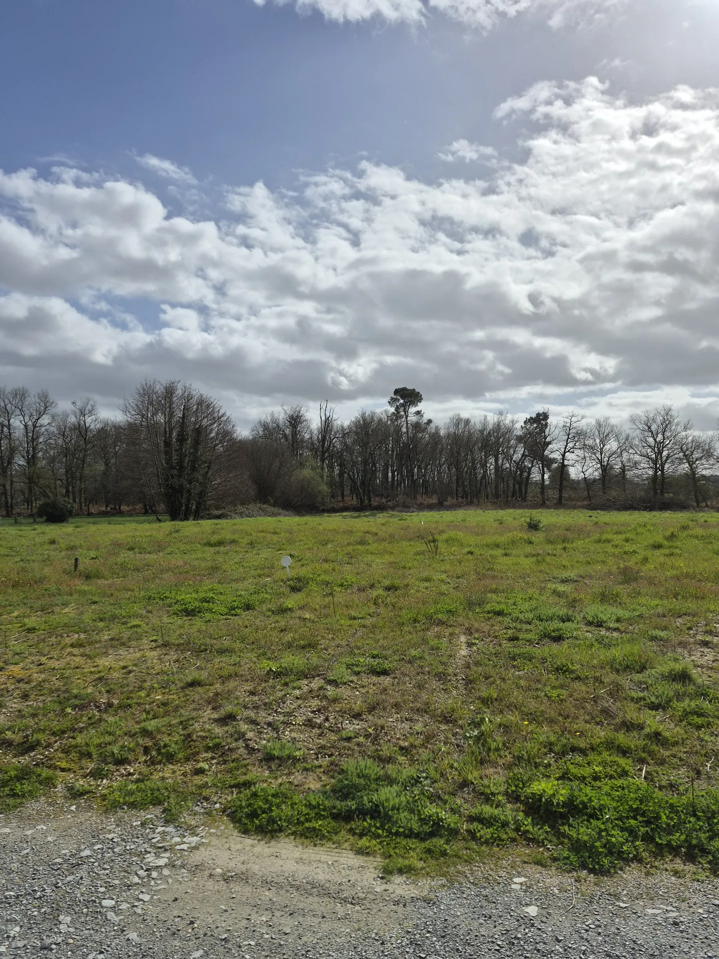 Terrain sur le secteur de Pugnac