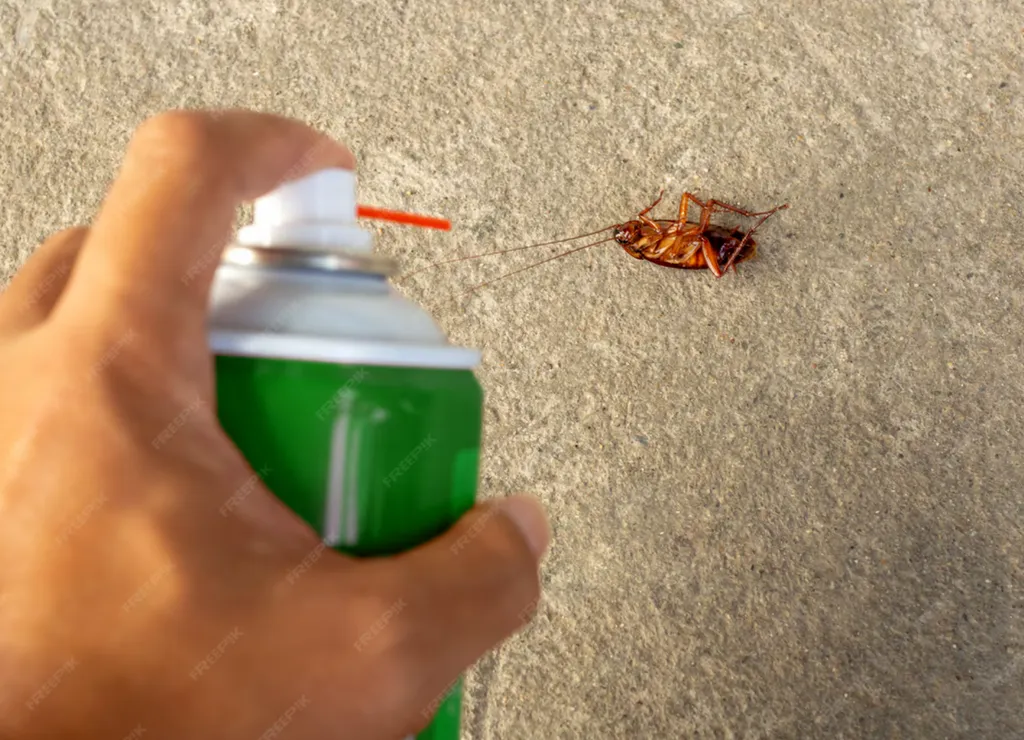 Notre zone d'activité pour ce servicePrix dératiseur : Éliminez vos rongeurs au tarif juste 