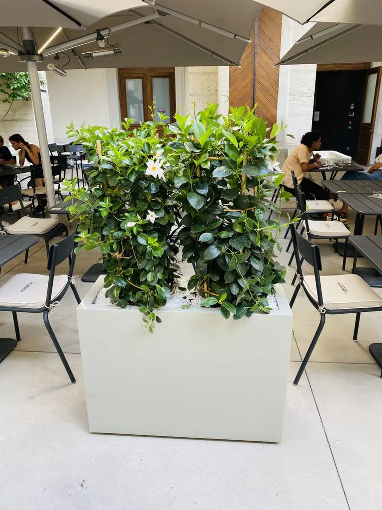 terrasse végétalisé en region lyonnaise