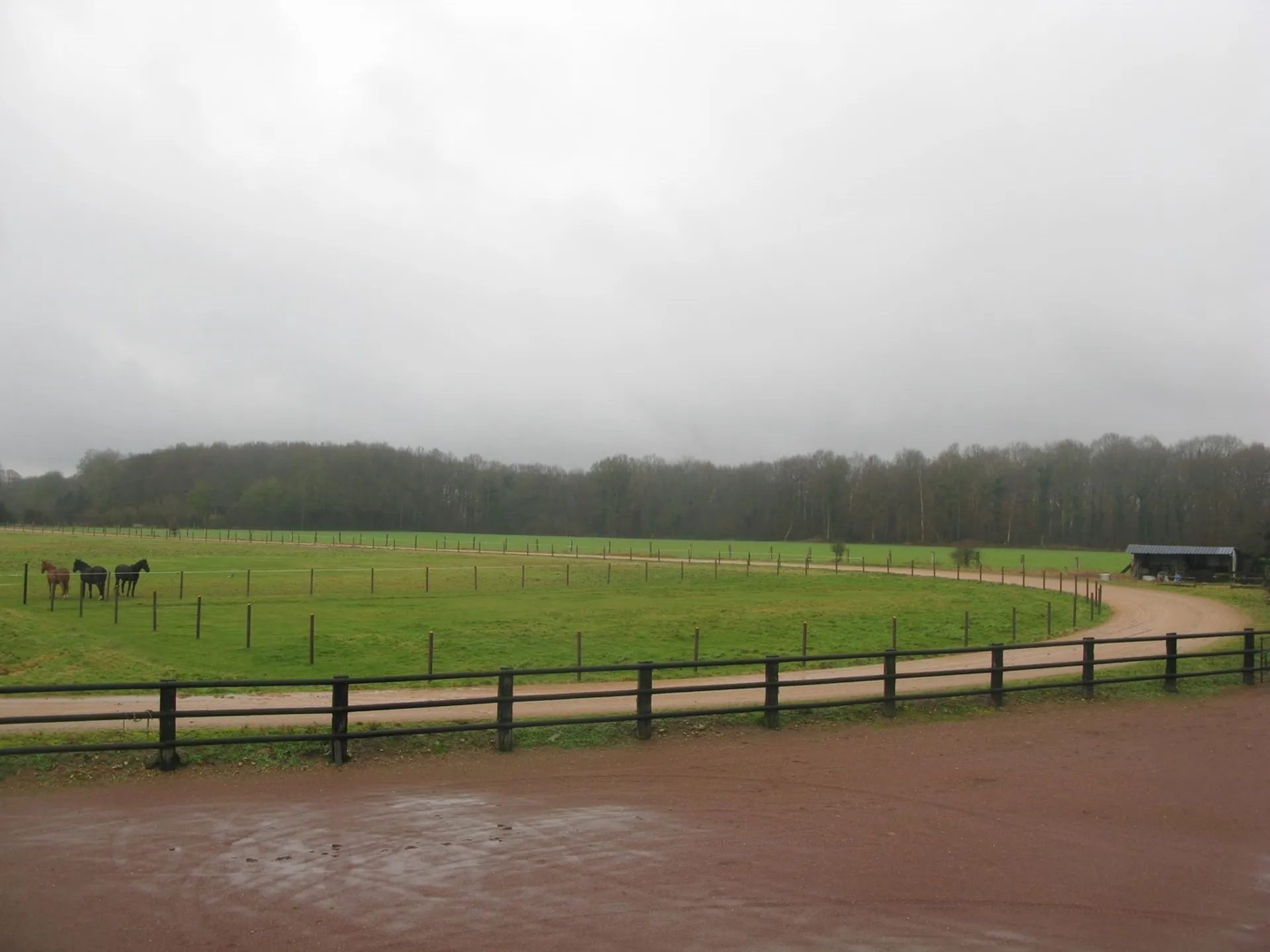 HARAS A VENDRE, AGENCE IMMOBILIERE TERRES ET DEMEURES DE NORMANDIE DE LISIEUX, CALVADOS 14