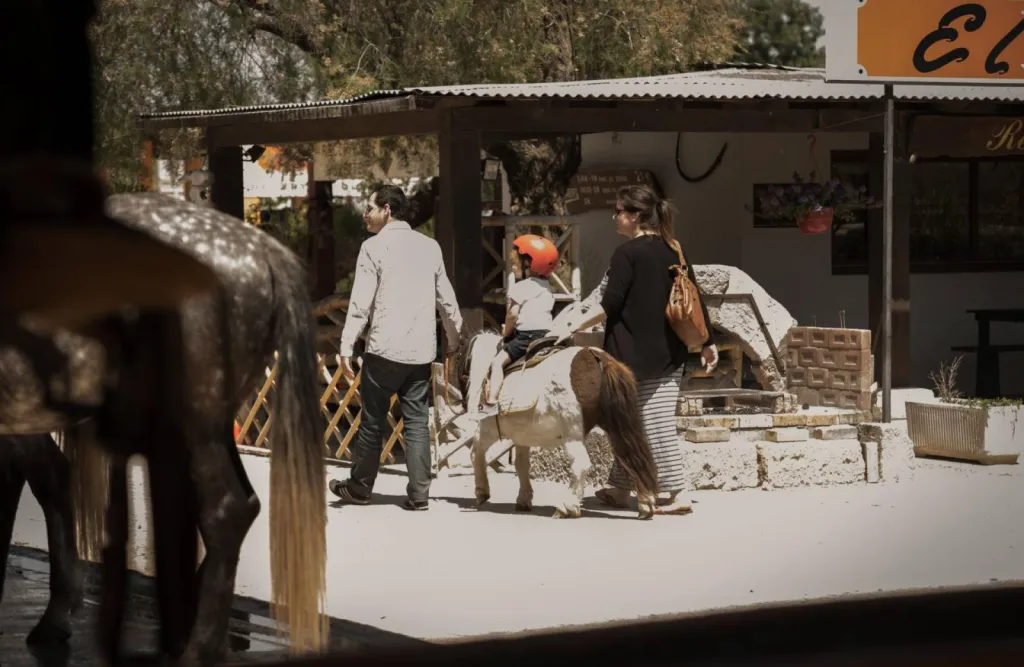 balade pour enfant en petit poney sur le Grau du Roi proche de L'espiguette