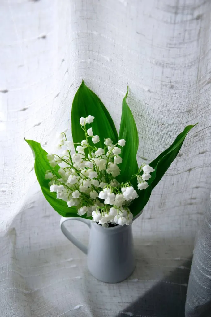 livraison de brins de muguet à lyon 