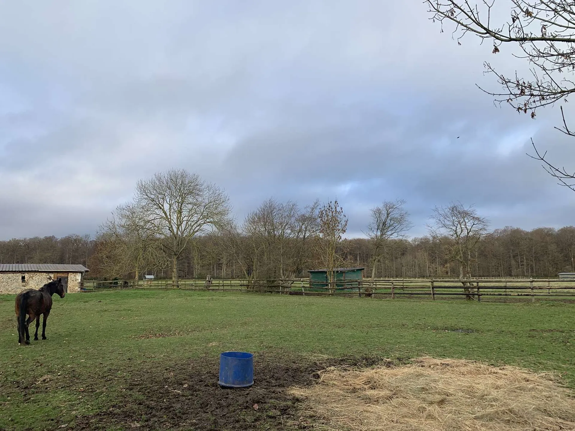 A VENDRE - En NORMANDIE, département de l'EURE, à proximité de BEAUMESNIL, une propriété équestre avec 12 ha 40 a