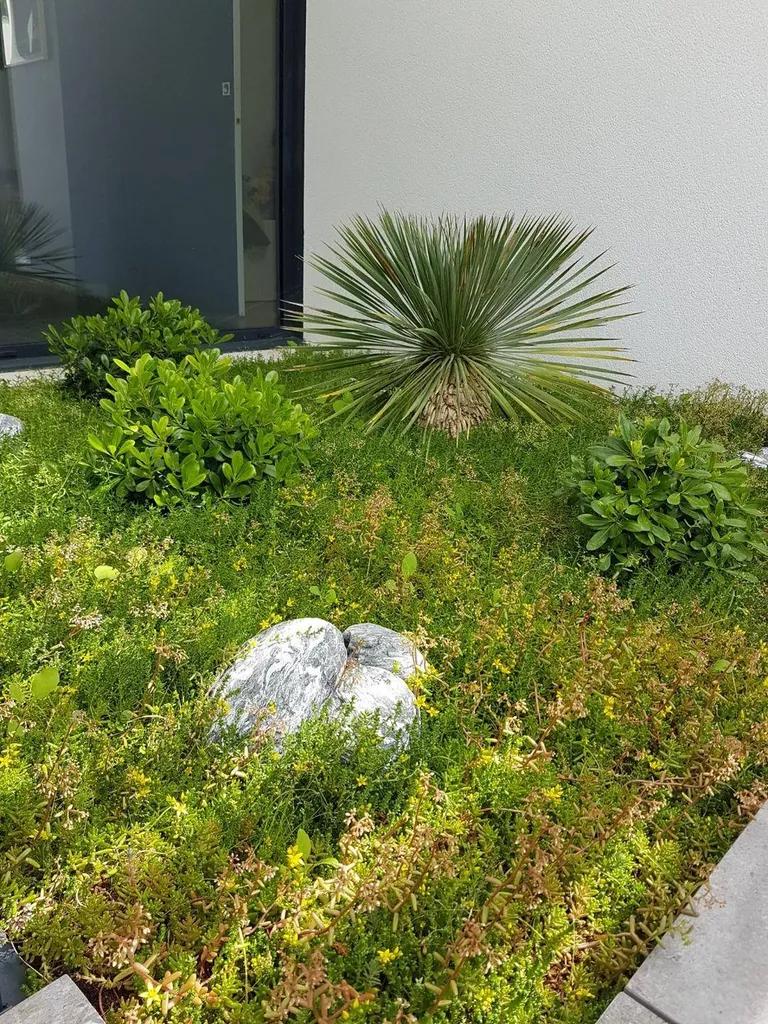 Création végétale des patios de qualité pour plus de fraîcheur et de confort dans vos maisons à Parentis-en-Born