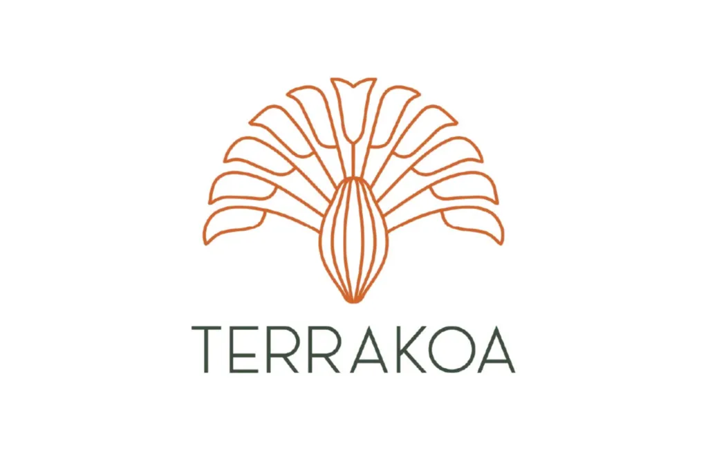 Coffret de sapins en chocolat, notre créations festives et raffinées de Noël