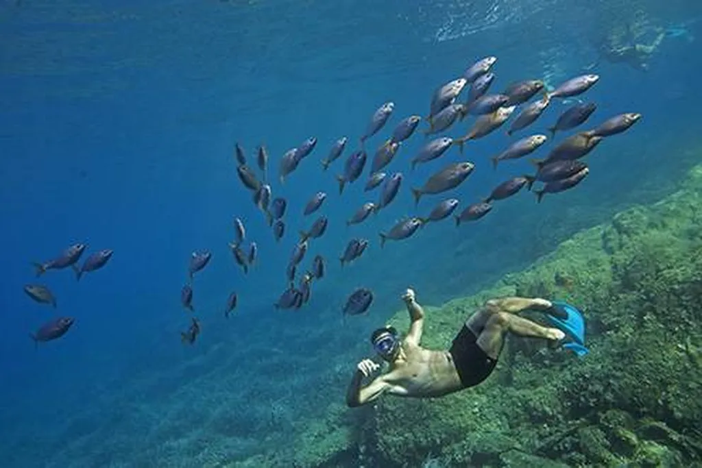 Supplément (par personne) pour la balade aquatique avec l'Eden Boat au départ de Cassis, La Ciotat