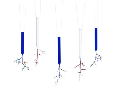 photographe d'oeuvre d'art à Lyon installation de l'oeuvre en studio de prise de vue