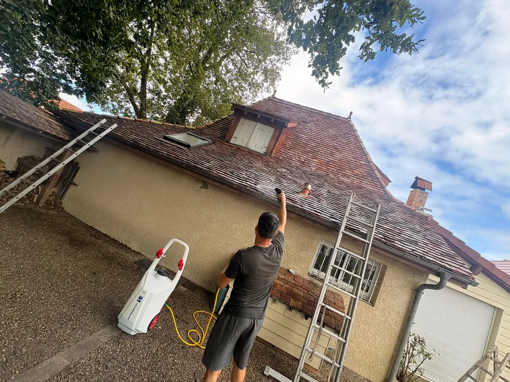 Démoussage professionnel et nettoyage de toiture à Pau