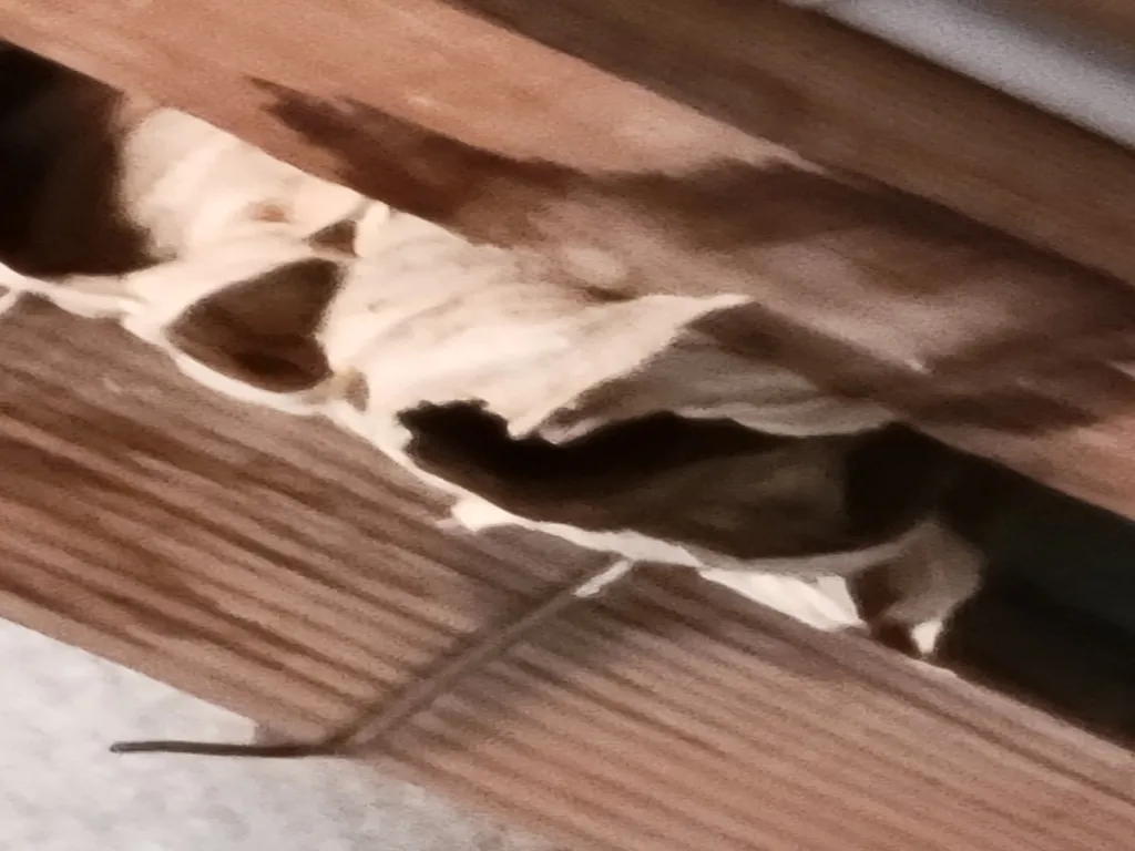 Traitement de nid de frelons très haut et inaccessible sous une charpente à la carabine à Lyon