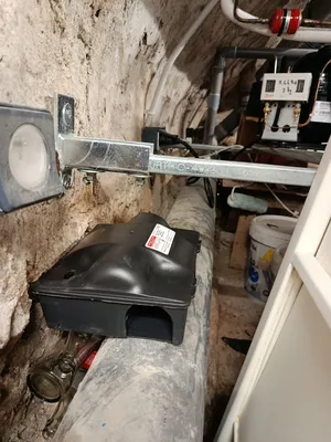 Les rats et les souris utilisent souvent les tuyauteries, les câbles et les gaines techniques pour se déplacer discrètement. Nos techniciens A.M.A Nuisibles inspectent vos caves et sous-sols pour placer nos postes d'appâtage sécurisés exactement sur leurs
