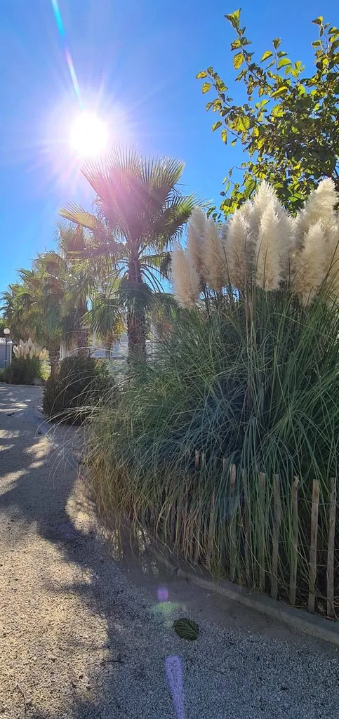 Camping et location bord de plage à Vias-Plage avec piscine et toboggan à 9km du Cap d'Agde
