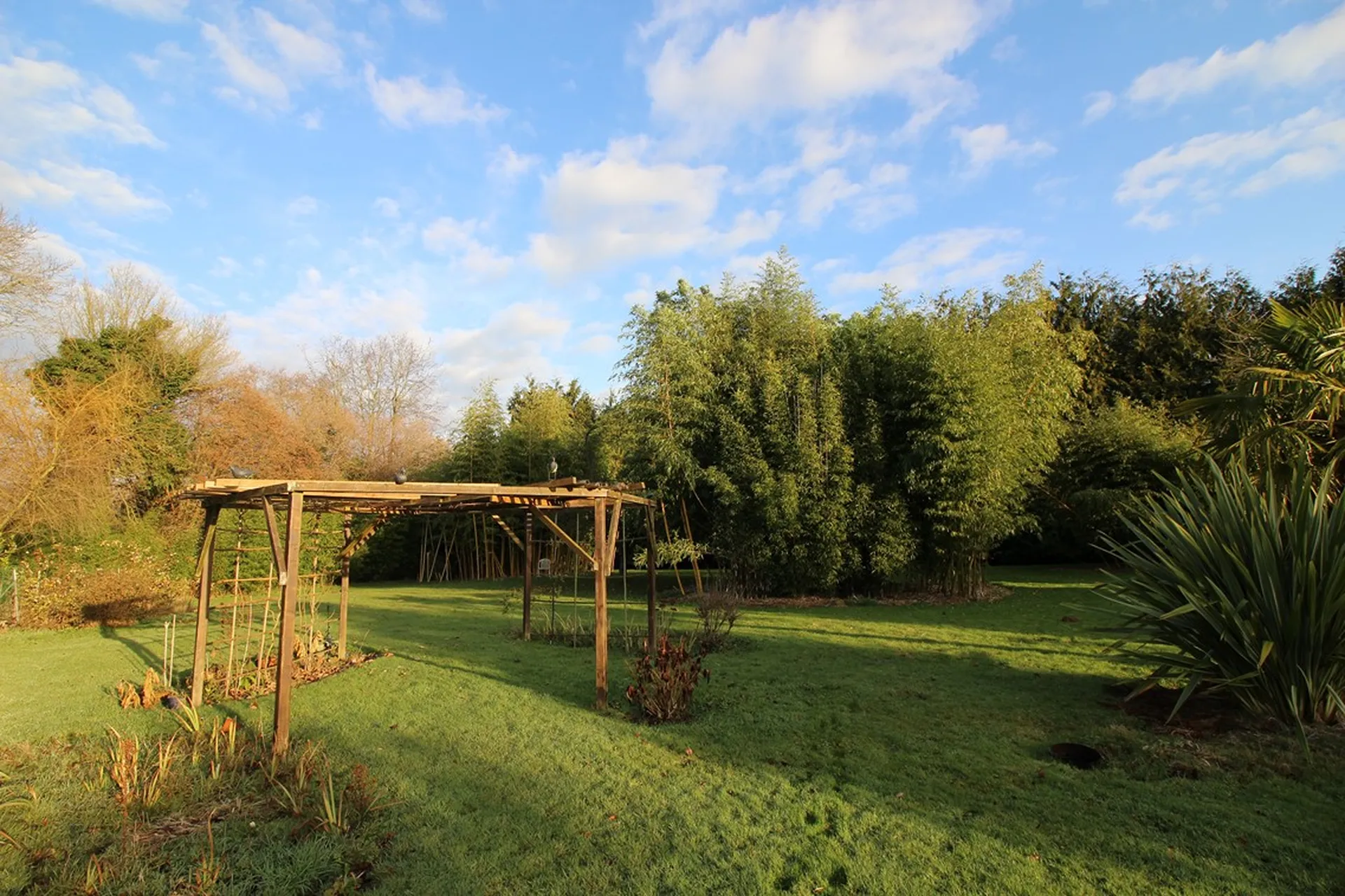 acquisition maison terrain et petite mare