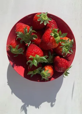 Coupelle SS25 porcelaine artisanale