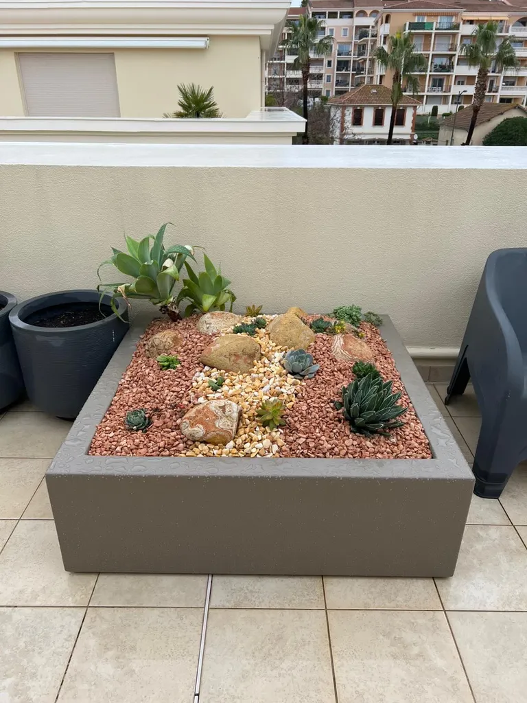 bac de plantes grasse à La Crau