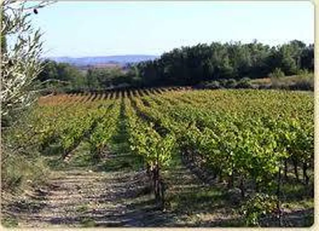 Languedoc Roussillon le mas de la plage camping et location bord de plage 