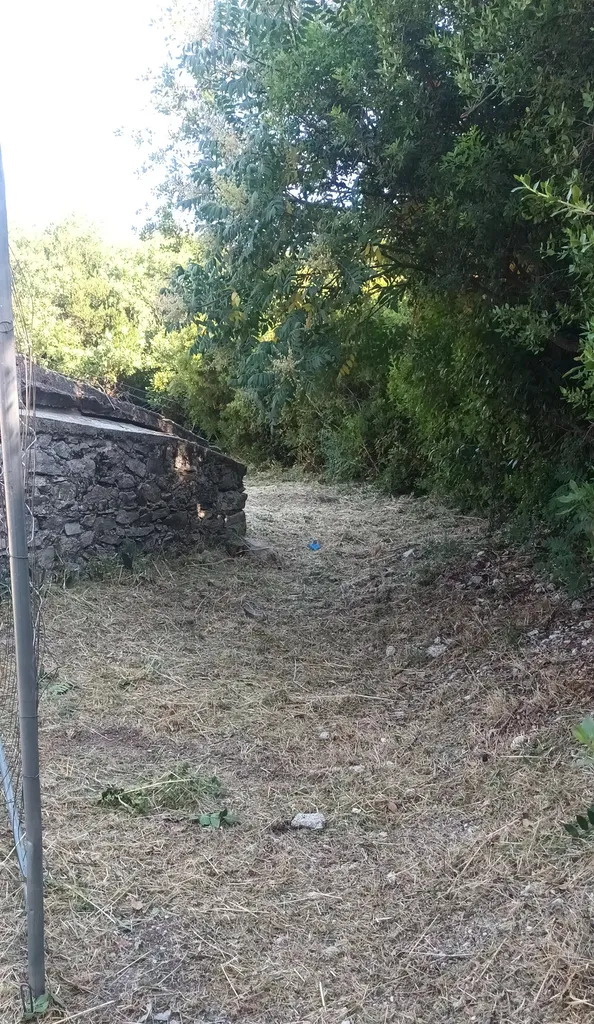 Fauchage dans le 9ème arrondissement. 