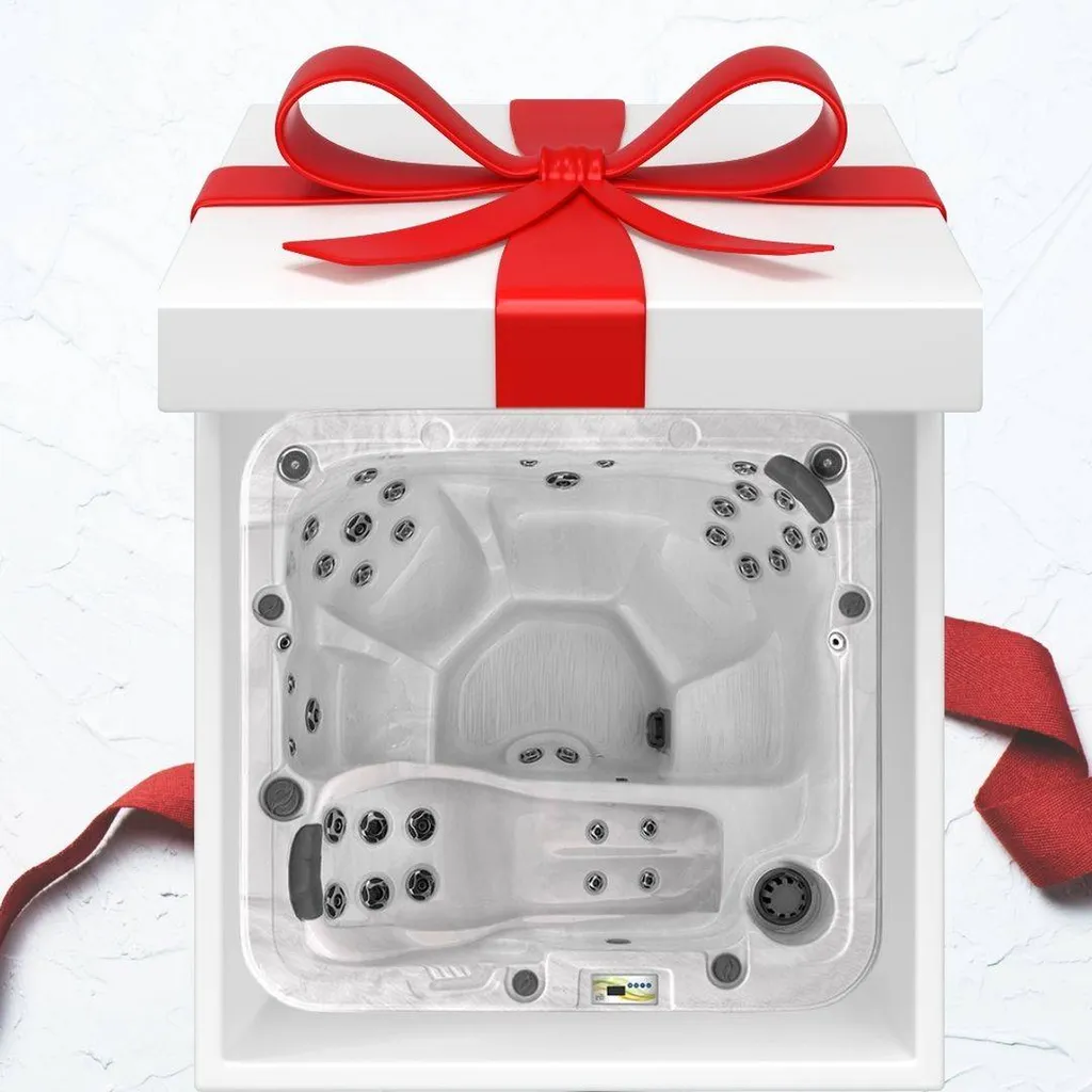 C'est LE moment pour acheter votre SPA ! Livraison Offerte jusqu'au 20 janvier 2022 !