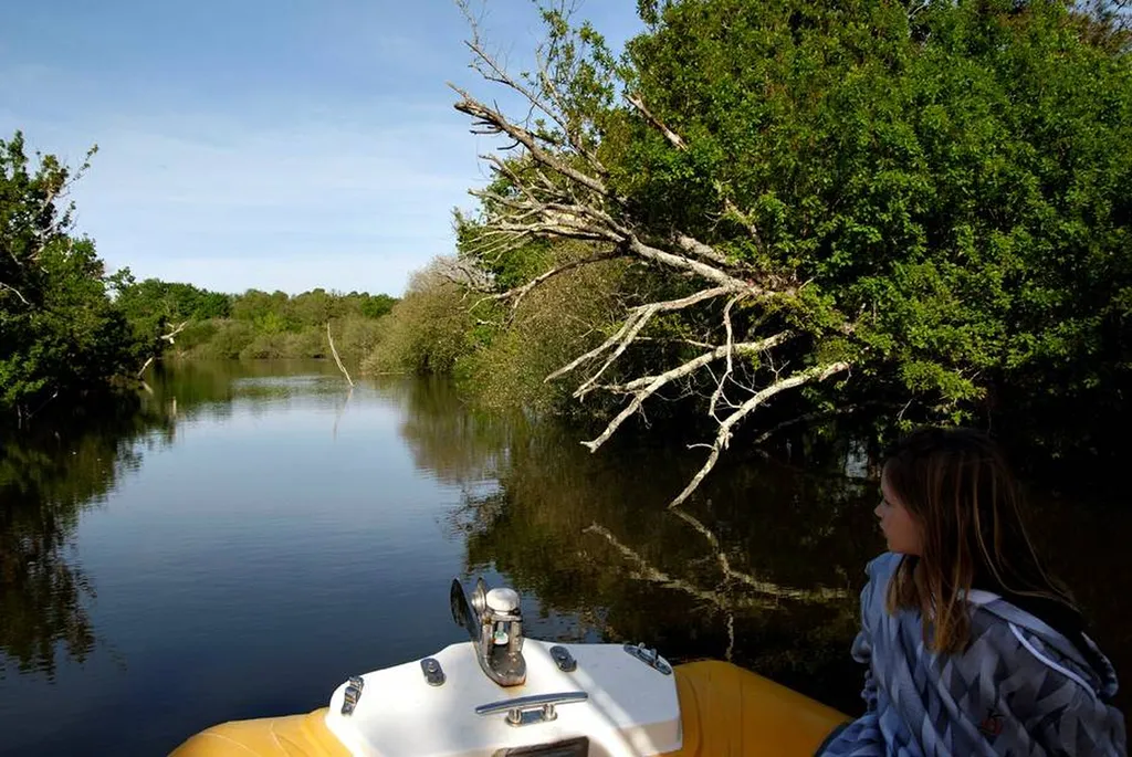 Découverte du bassin d'Arcachon en bateau privatisé - Vacances de printemps et ponts de mai 2021 : Destination le bassin d'Arcachon !