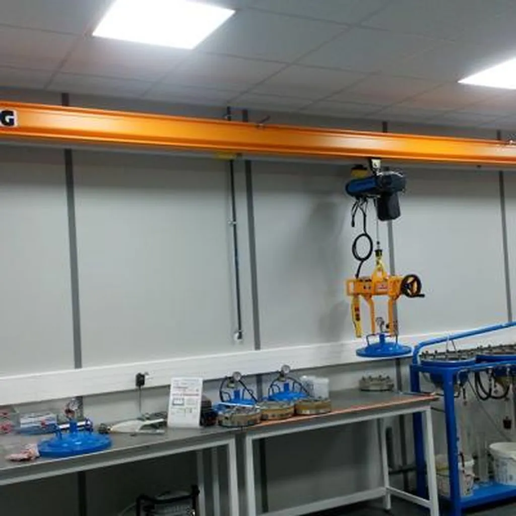 Installation d'un portique de levage laboratoire palan électrique à chaîne accessoire de levage sur mesure à Lyon dans le Rhône