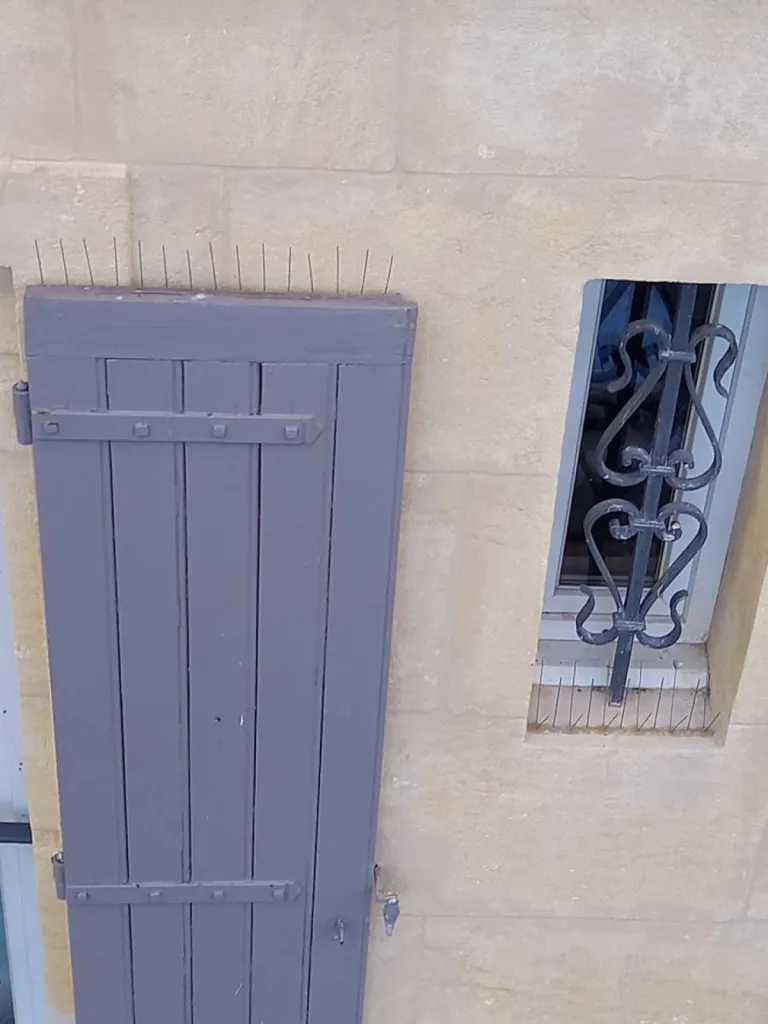 anti pigeon arles 13200 sur volets