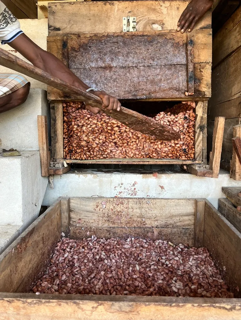 De Madagascar à Marseille, l’histoire d’un chocolat d’exception né d’un amour pour la terre et les hommes