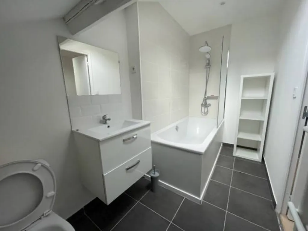 Appartement entièrement rénové