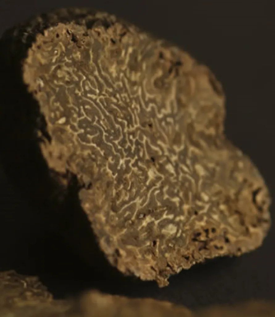 Le petit marché de la truffe à Menerbes