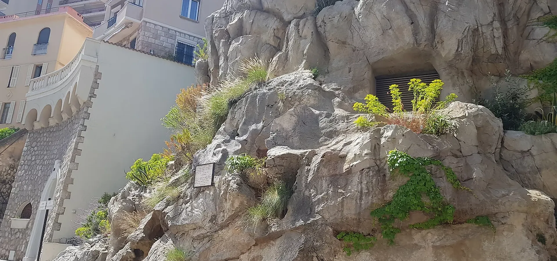 Prix plantation arbuste à Monaco