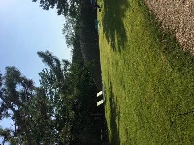 Tonte  de pelouse chez un particulier