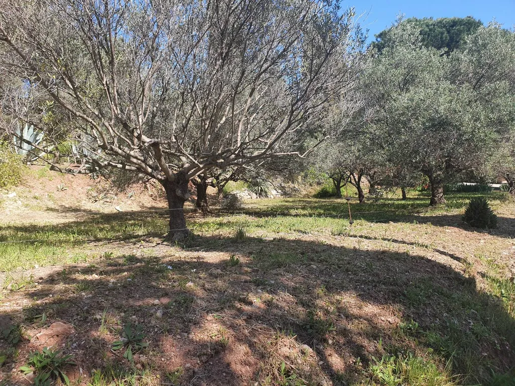 Terrain constructible dans le VAR