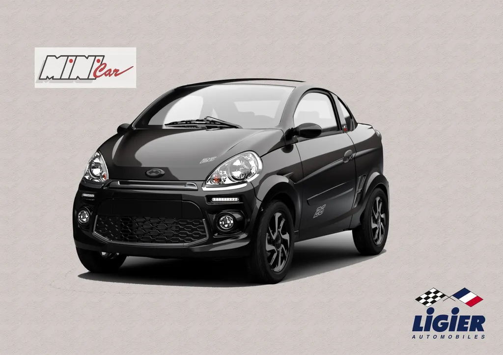 Voiture sans permis Plan de campagne 