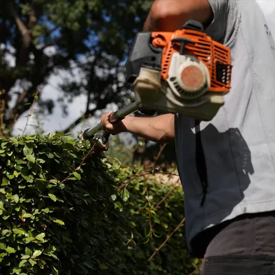 Taille de haie soignée à Saint-Rémy-de-Provence (13210) dans une résidence des Alpilles